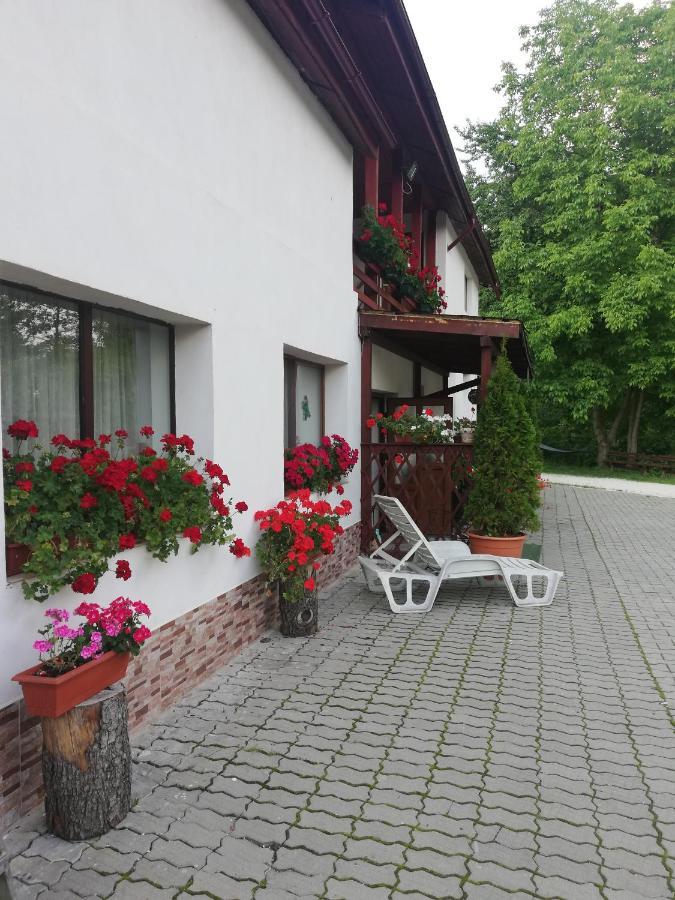 Pensiunea Broscuta Horezu Buitenkant foto