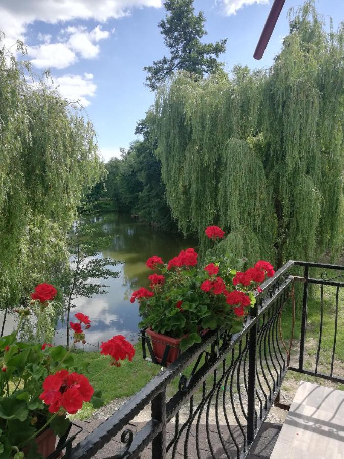 Pensiunea Broscuta Horezu Buitenkant foto