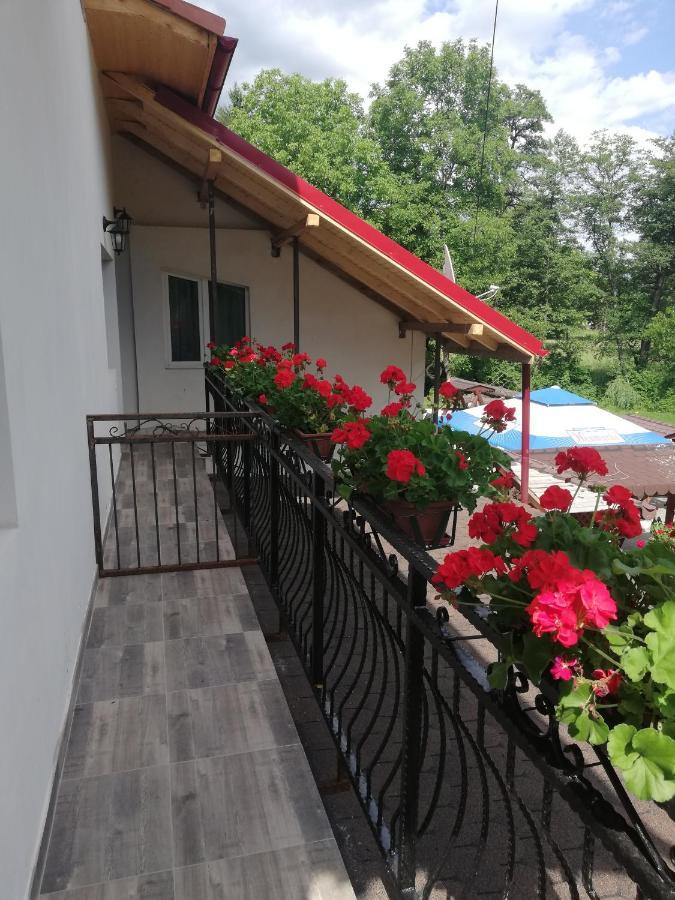 Pensiunea Broscuta Horezu Buitenkant foto