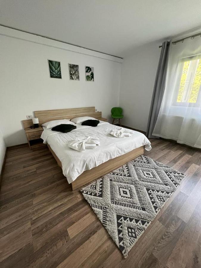 Pensiunea Broscuta Horezu Buitenkant foto