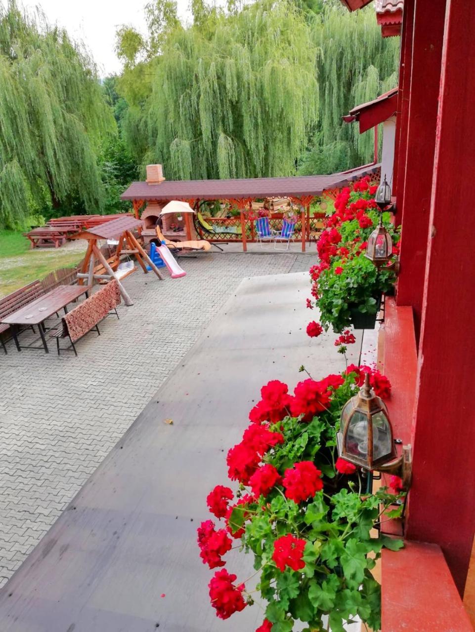 Pensiunea Broscuta Horezu Buitenkant foto